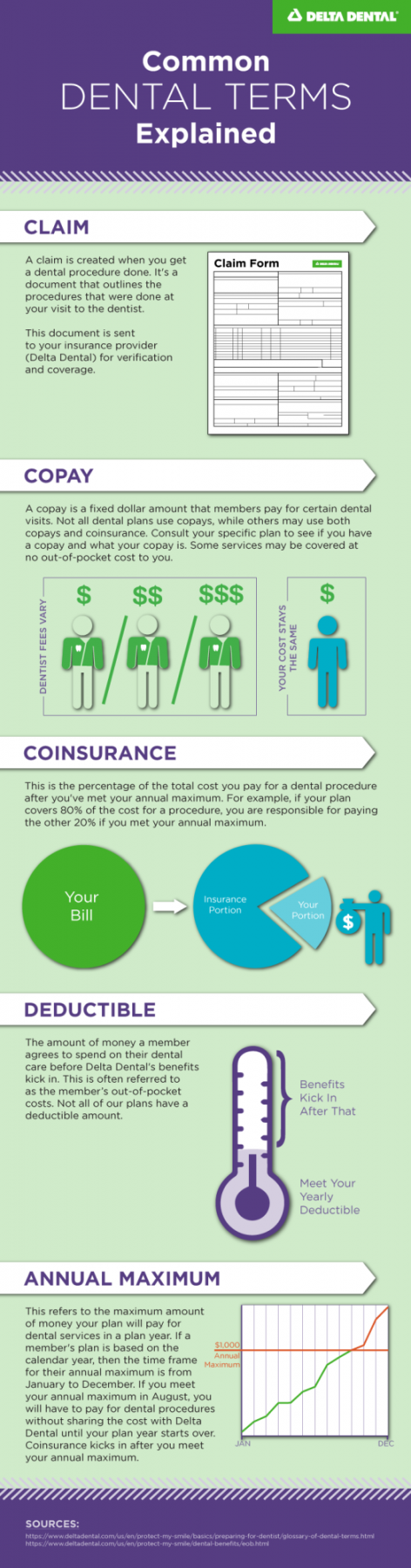 Dental Insurance Basics: Common Terms Defined