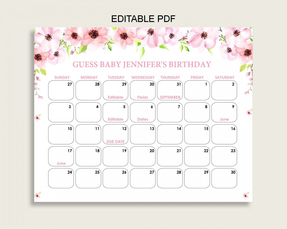 Pink Green Guess Baby Due Date Calendar Game Printable, Flower Blush Baby  Shower Girl Birthday Prediction Calendar Editable, Instant VHKL