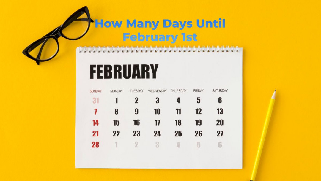 How Many Days Until February st – BizCalcs